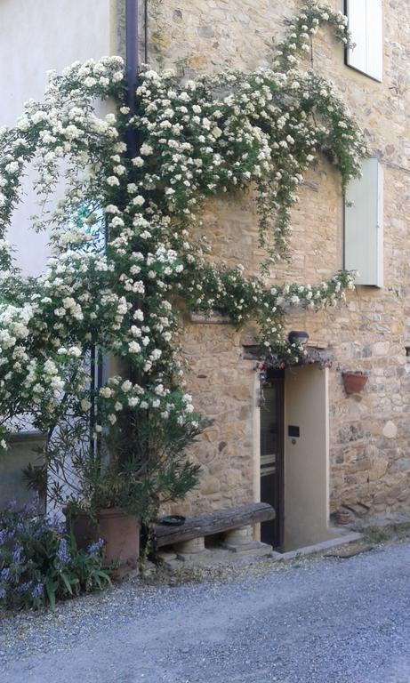 Agriturismo Il Gelso Traversetolo المظهر الخارجي الصورة