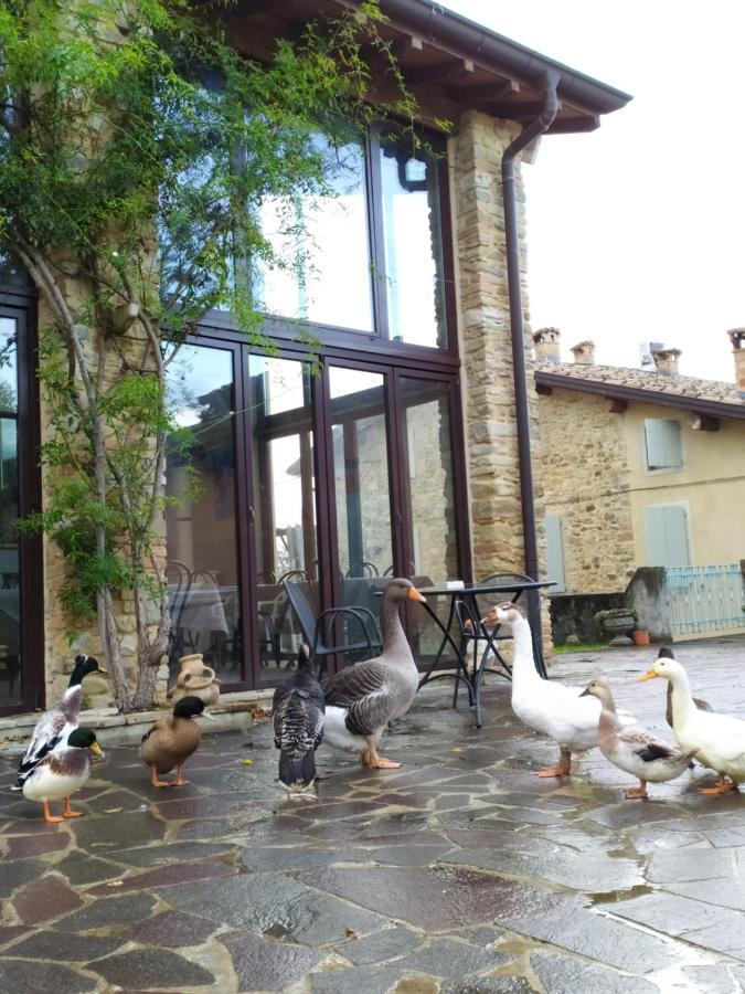Agriturismo Il Gelso Traversetolo المظهر الخارجي الصورة